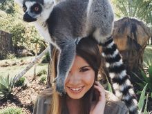 Steve Irwin