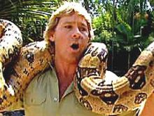 Steve Irwin