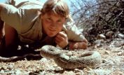 Steve Irwin