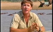 Steve Irwin