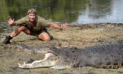 Steve Irwin