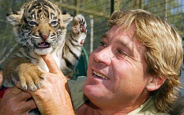 Steve Irwin