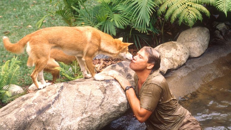 Steve Irwin
