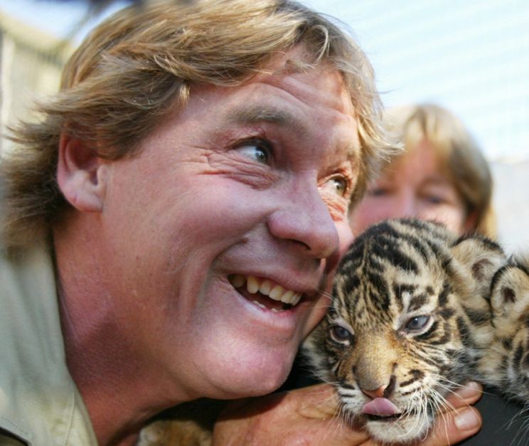 Steve Irwin