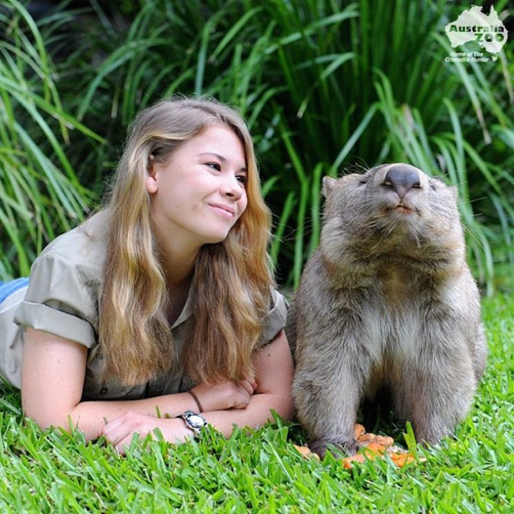 Steve Irwin