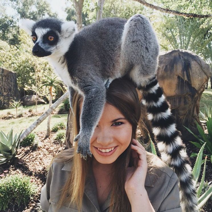 Steve Irwin
