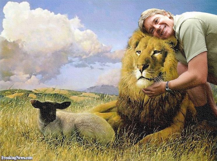 Steve Irwin