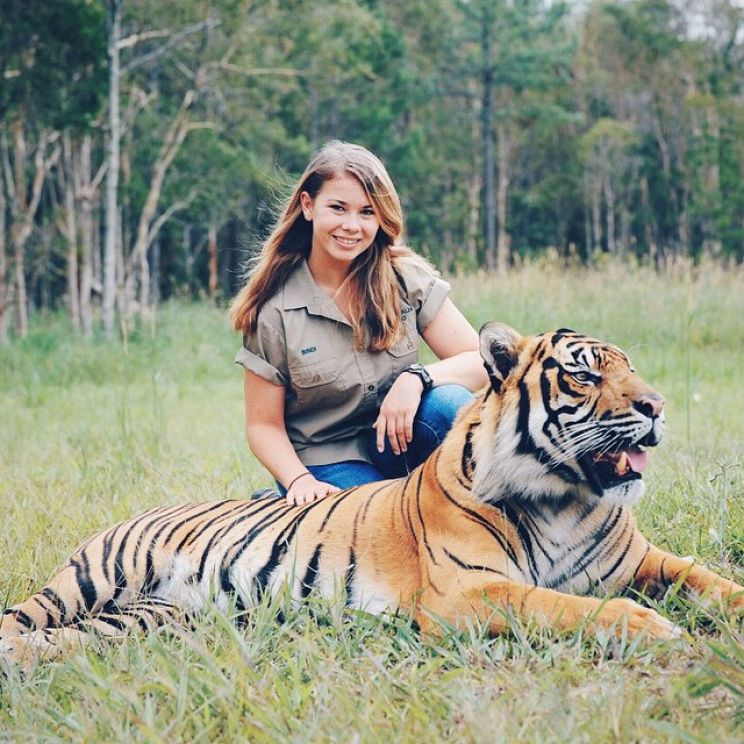 Steve Irwin