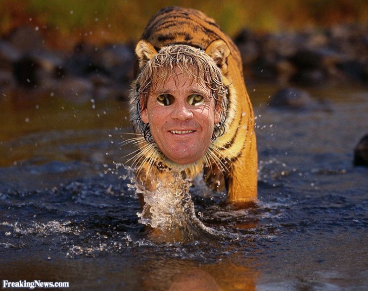 Steve Irwin