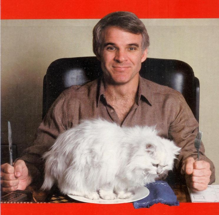 Steve Martin