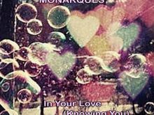 Steve Monarque
