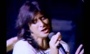 Steve Perry