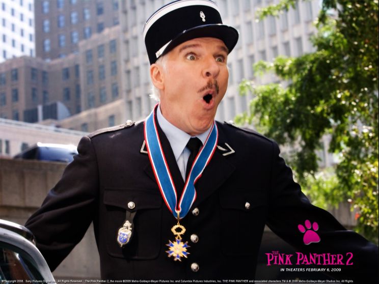 Steve Pink