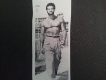 Steve Reeves