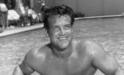 Steve Reeves