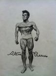 Steve Reeves