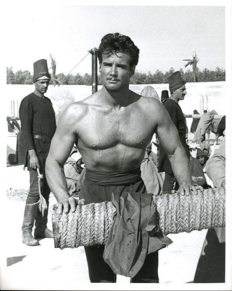 Steve Reeves