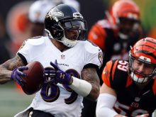 Steve Smith