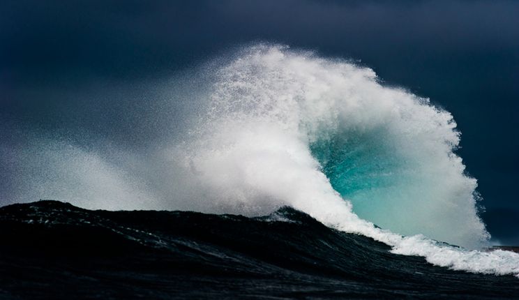 Steve Wall