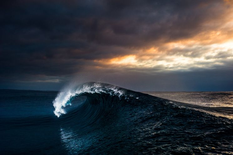 Steve Wall