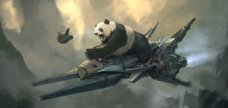 Steve Wang