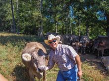 Steve Whitmire