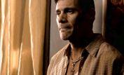 Steven Bauer