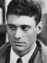 Steven Bauer