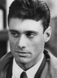 Steven Bauer