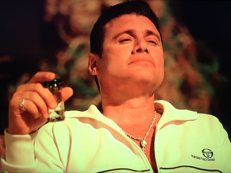 Steven Bauer