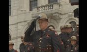 Steven O'Donnell