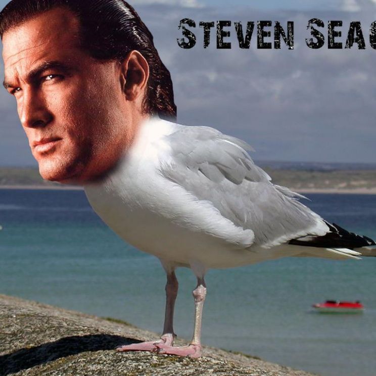 Steven Seagal