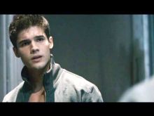 Steven Strait