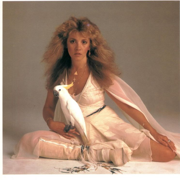 Stevie Nicks