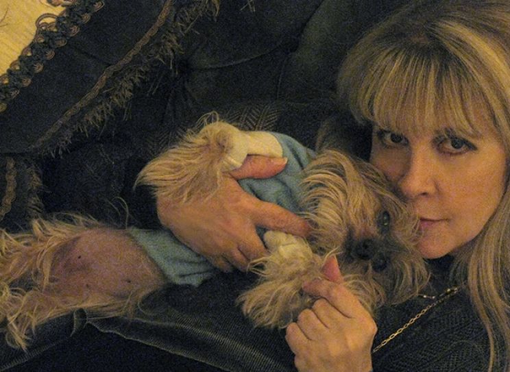 Stevie Nicks