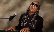 Stevie Wonder