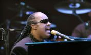 Stevie Wonder