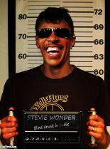 Stevie Wonder