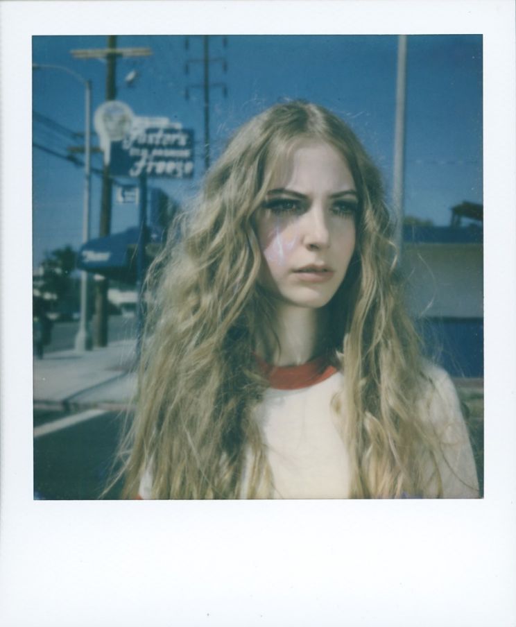 Stevie Wynne Levine