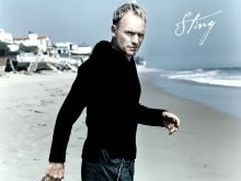 Sting