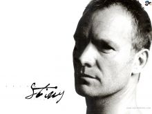 Sting