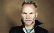 Sting