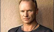 Sting