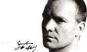 Sting