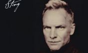 Sting