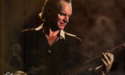 Sting