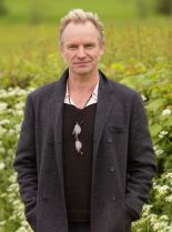 Sting