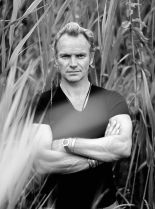 Sting