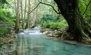 Stream