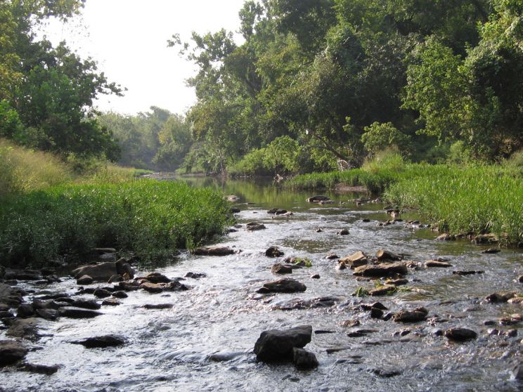 Stream
